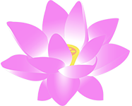The Lotus Tree